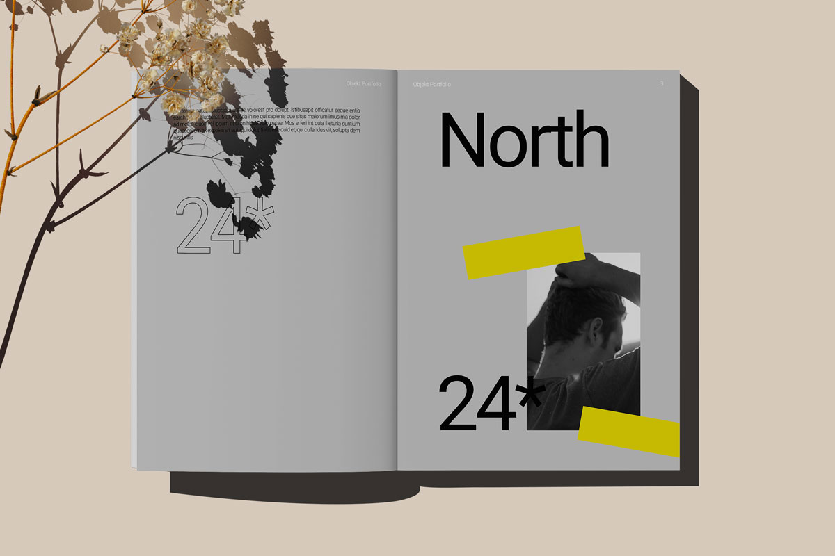 951 现代艺术！18款A4时尚画册杂志设计展示PS贴图样机模板套件